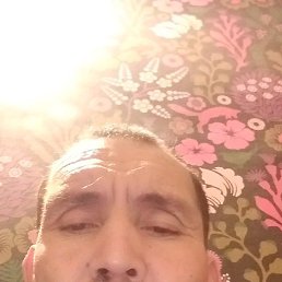 ���� ���������, �����-���������, 54 ����