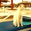 ���� �����, ��������, 60 ��� - ��������� 30 ������ 2019 � ������ �2019�