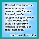 ���� �������, ������, 62 ���� - ��������� 9 ��� 2019 � ������ ������ ��������