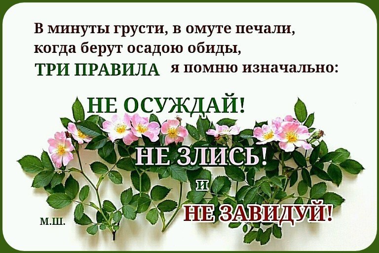   ,    . - 22  2019  22:34