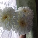 ���� ����, ���� - ��������� 22 ������ 2019 � ������ ���� ����������