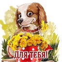 ���� ���������, �����, 69 ��� - ��������� 17 ���� 2019 � ������ ���� ����������