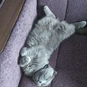 ���� ������, ������, 69 ��� - ��������� 16 ������� 2019 � ������ ���� ����������