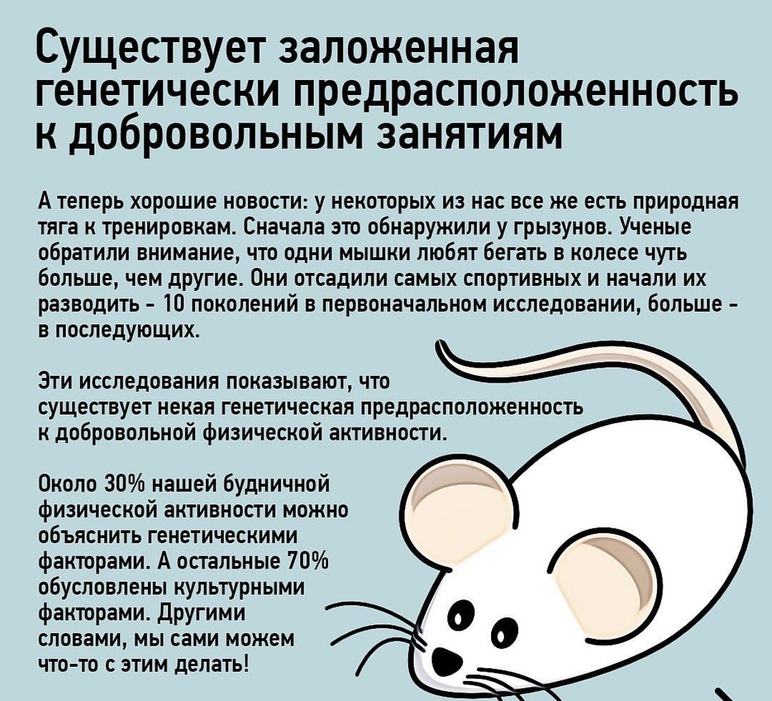 ������������ ���� - 3