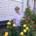 ���� ����, ������, 69 ��� - ��������� 21 �������� 2019 � ������ ���� ����������