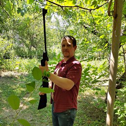 �������, �������, 36 ���