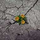  ••,  -  11  2019       ...