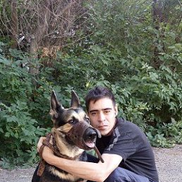 ������, ��������, 42 ����