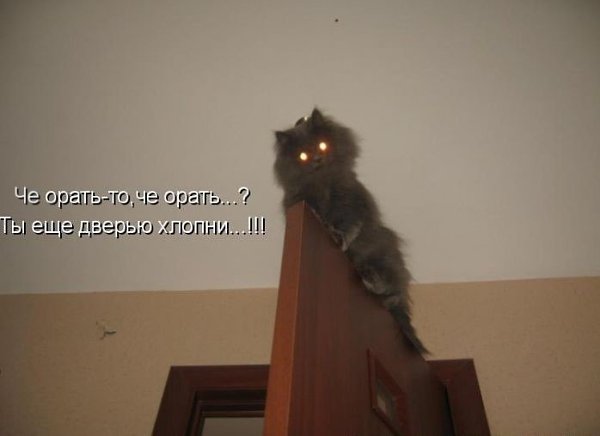 ~