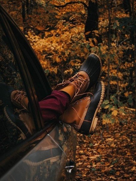 ��������, ����������, ������. ������� ������ ����� - 2