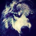 ���� Diro, ������, 32 ���� - ��������� 20 �������� 2019