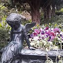 ���� Rosa, ��� - ��������� 18 ��� 2019 � ������ ������ ����