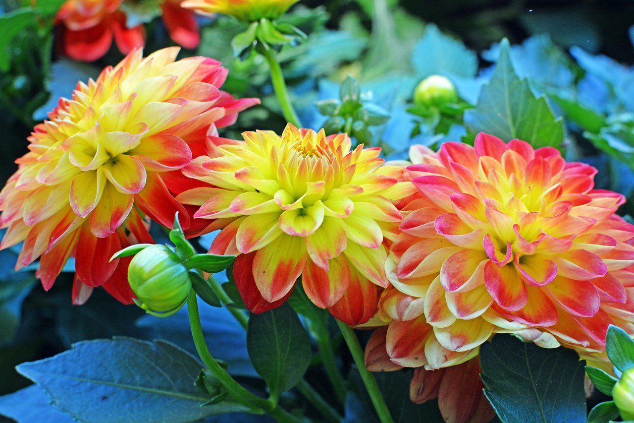   ,    . - 31  2019  16:03