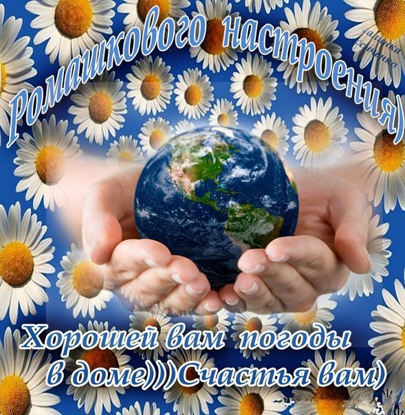   ,    . - 24  2019  14:58