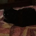  Olga, , 60  -  25  2019   