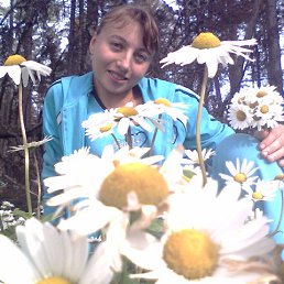 ����, ���������, 36 ���