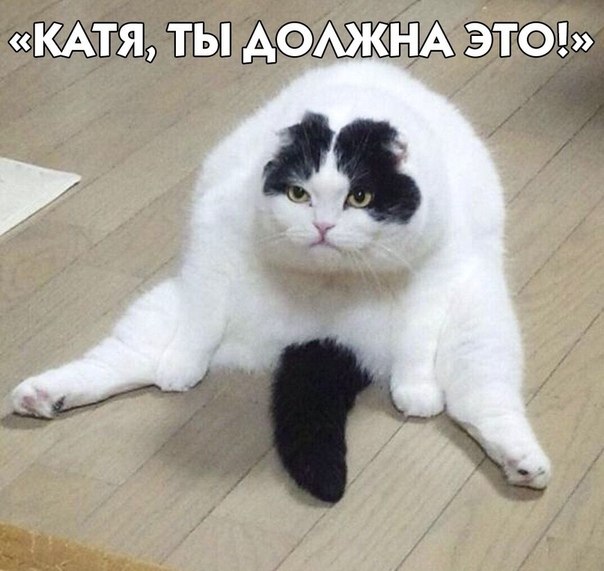   .  ... - 3