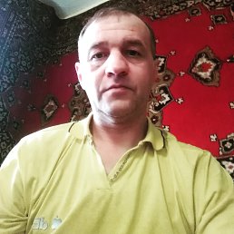 �������, ���������, 51 ���