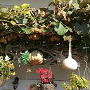  T, , 58  -  9  2019   Macedonia 2018