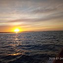 ���� ���������, �������, 49 ��� - ��������� 25 ���� 2019 � ������ ���� ����������