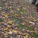 ���� �����, �����������, 67 ��� - ��������� 20 ������� 2019 � ������ ���� ����������