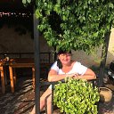 ����������, ������ 2019�. �� ������� ���� ����������