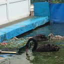  , , 50  -  23  2019      --