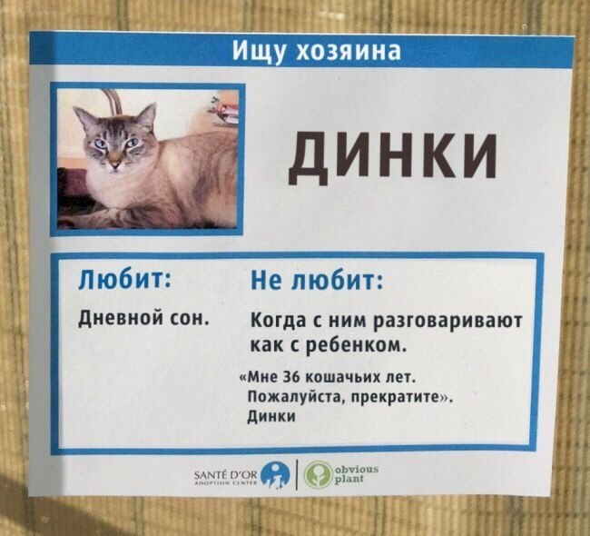        .   - 4