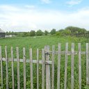 ���� ������, �����, 42 ���� - ��������� 23 ���� 2019