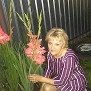 ����, , ����-�����������