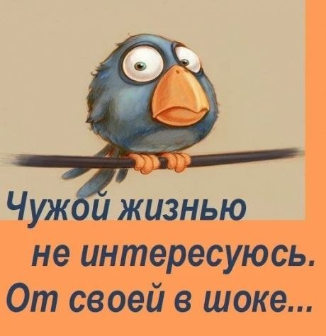  - 25  2019  17:03