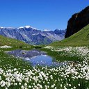 ���� Miasnik, ������, 70 ��� - ��������� 29 �������� 2019 � ������ ������ ��������