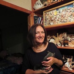 ���� ������, ������, 56 ��� - ��������� 10 ������ 2019