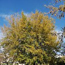 ���� ������, ���������� - ��������� 20 ������� 2019 � ������ ���� ����������