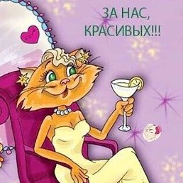 ���� �����, ������, 66 ��� - ��������� 29 ������ 2019