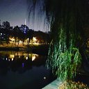 ���� ��������, ������ - ��������� 9 ������� 2019 � ������ ���� ����������