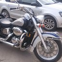 ���� ������ �������, �����-���������, 55 ��� - ��������� 19 �������� 2019 � ������ ���� ����������