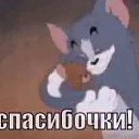 ���� ����, �������, 72 ���� - ��������� 7 ���� 2019 � ������ ���� ����������