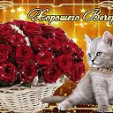 ���� ����, ������� - ��������� 21 ���� 2019
