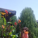 ���� ������, �����������, 56 ��� - ��������� 10 �������� 2019 � ������ ���� ����������