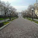 ���� �������, ������������, 72 ���� - ��������� 8 ������� 2019 � ������ �������