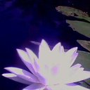 ������� 2018. �������) �� ������� ���� ����������