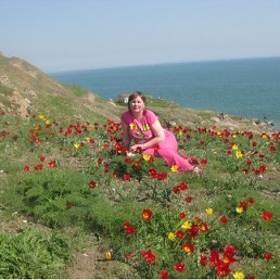 �2���������������������, �����������, 52 ����