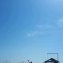 ���� ����� ������������, �������, 44 ���� - ��������� 22 ��� 2019 � ������ ���� ����������