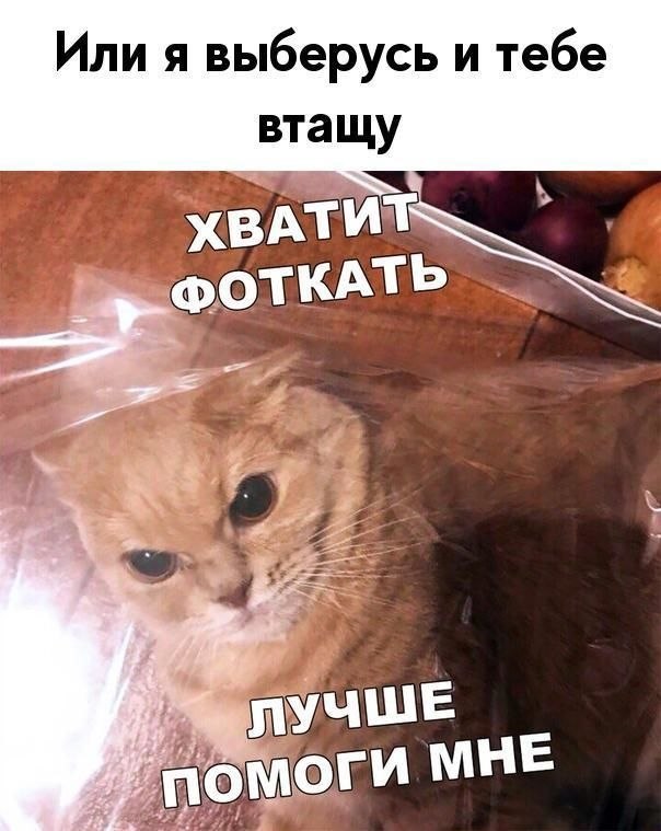    :D - 4  2019  02:30
