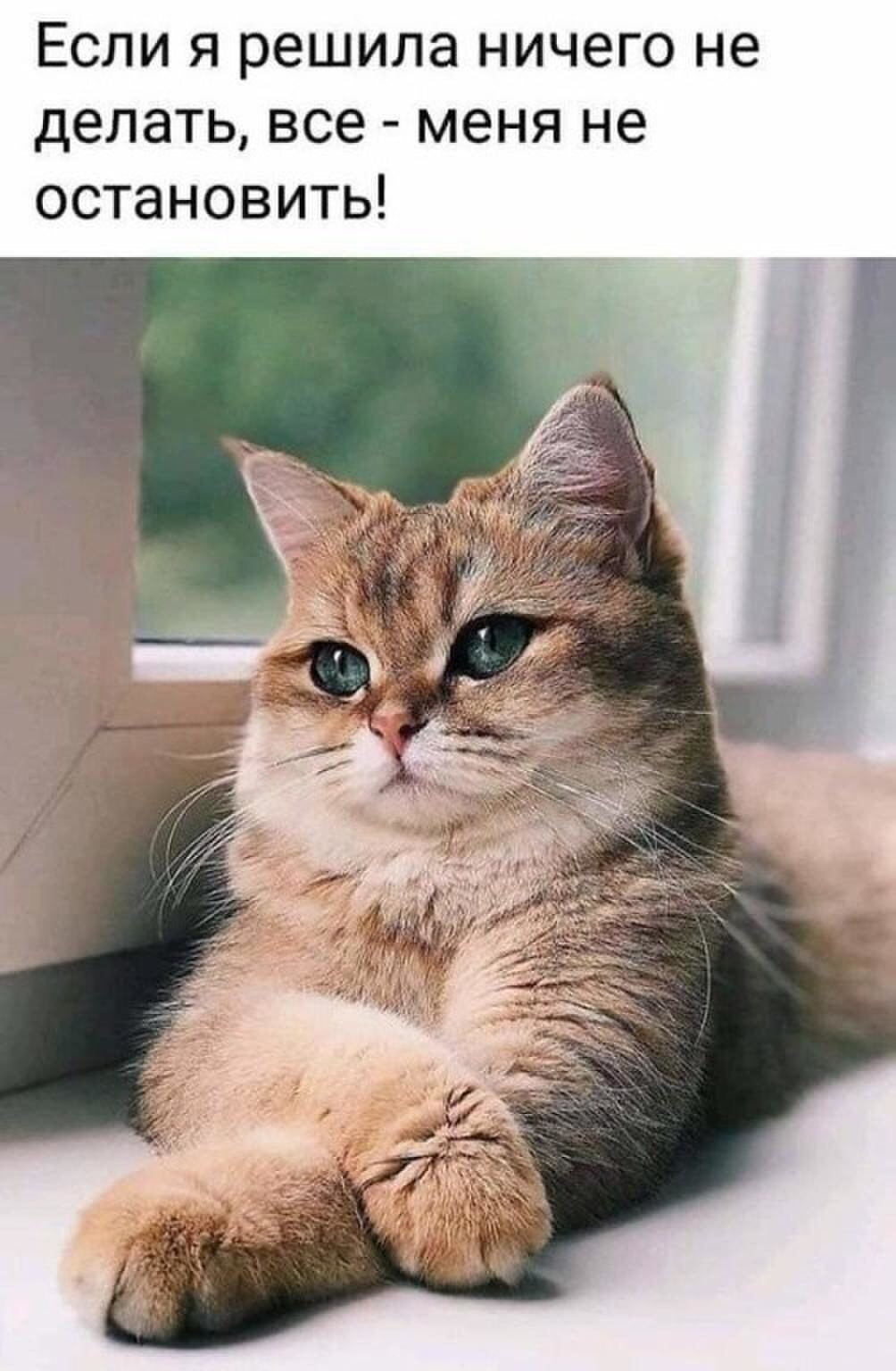   )))