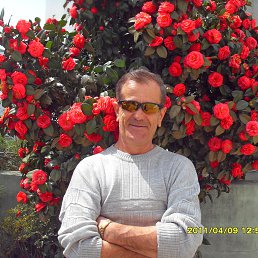 ��������, ����������, 67 ���