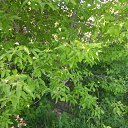 ���� Andrei, ������, 38 ��� - ��������� 12 ������ 2019 � ������ ���� ����������