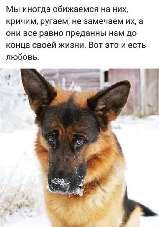 )))