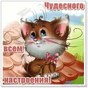 ���� ����, ������, 60 ��� - ��������� 21 ������� 2019 � ������ ���� ����������